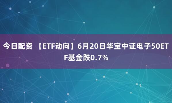 今日配资 【ETF动向】6月20日华宝中证电子50ETF基金跌0.7%
