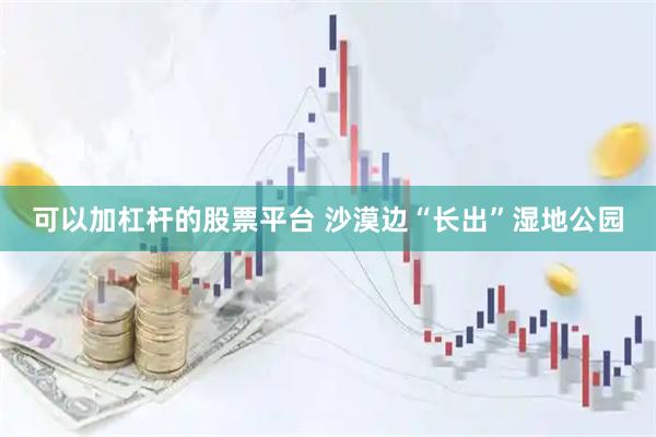 可以加杠杆的股票平台 沙漠边“长出”湿地公园