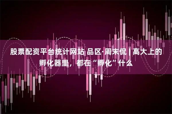 股票配资平台统计网站 品区·周末侃 | 高大上的孵化器里，都在“孵化”什么