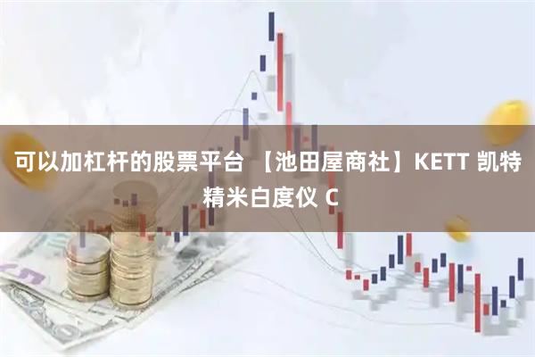可以加杠杆的股票平台 【池田屋商社】KETT 凯特 精米白度仪 C
