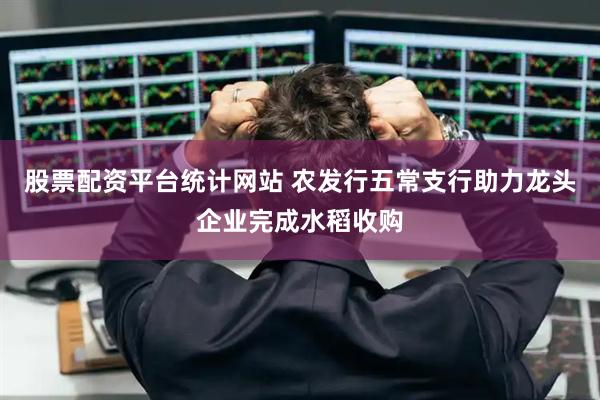 股票配资平台统计网站 农发行五常支行助力龙头企业完成水稻收购